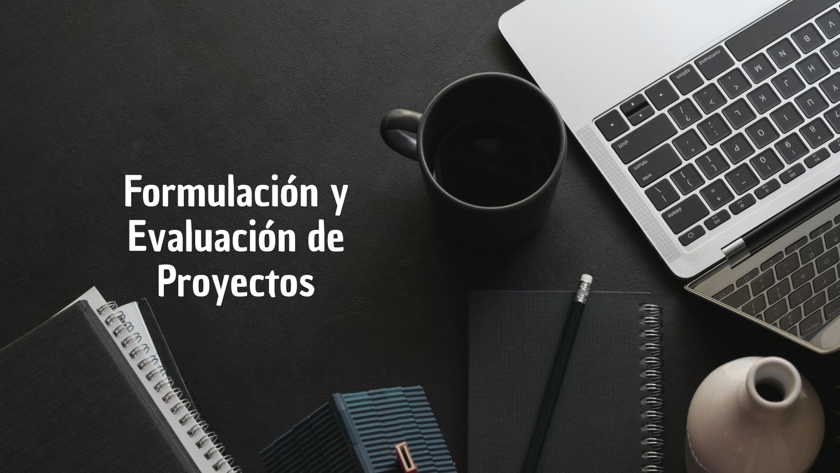 Formulación y Evaluación de Proyectos
